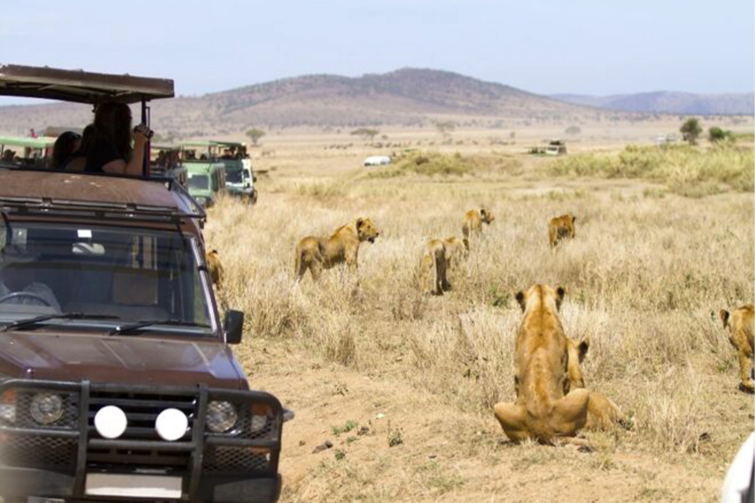 Explore 7 Days Safari Including Serval Wildlife