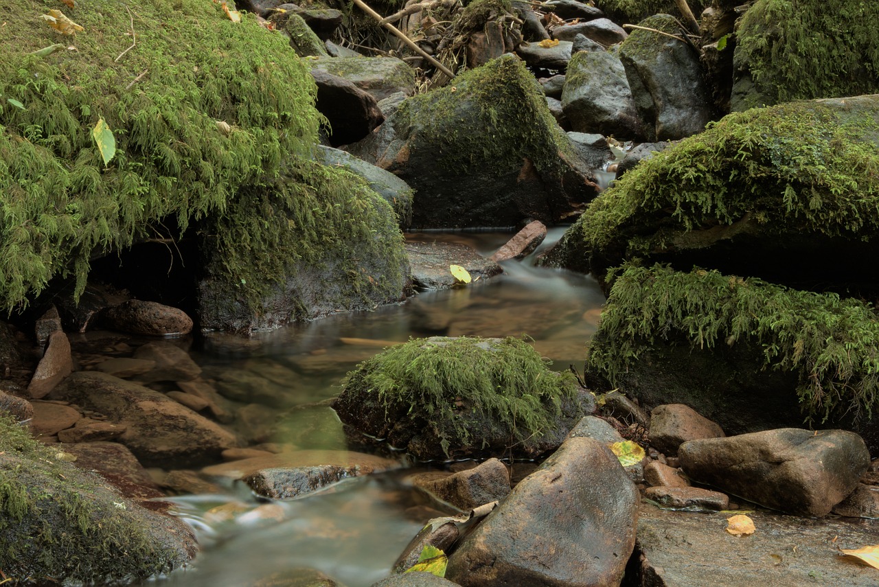 Exploring Livingstone Mountains in Tanzania