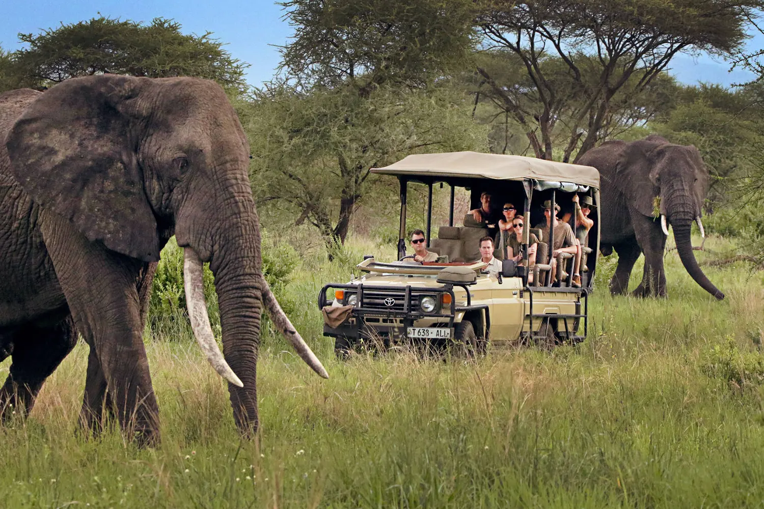 Best Time to Visit Africa: Season Guide for Safari