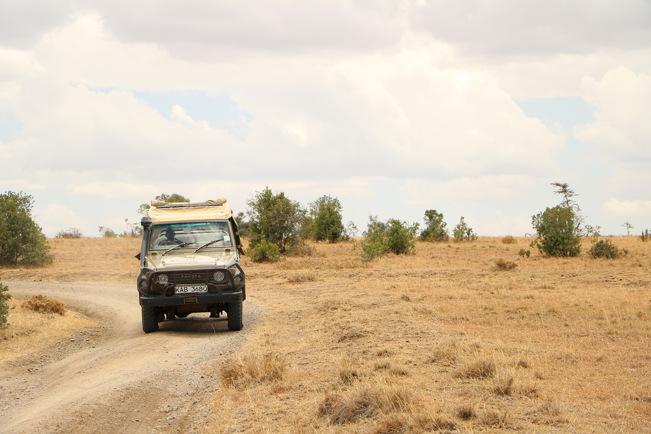 Kenya 2 Week Itinerary and Cost, The Ultimate Guide for Safari Adventure