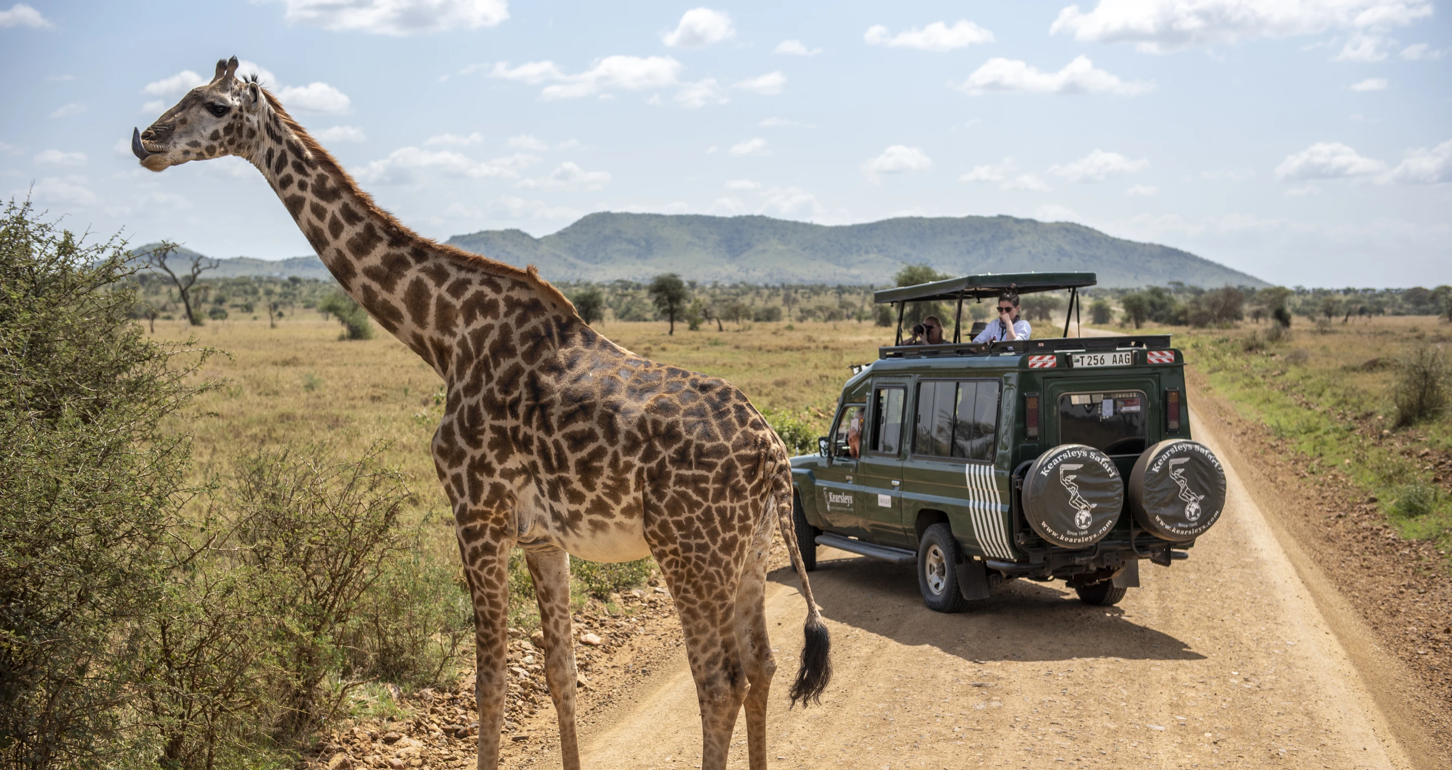 Medical Equipment Suppliers in Tanzania for Safari 2026