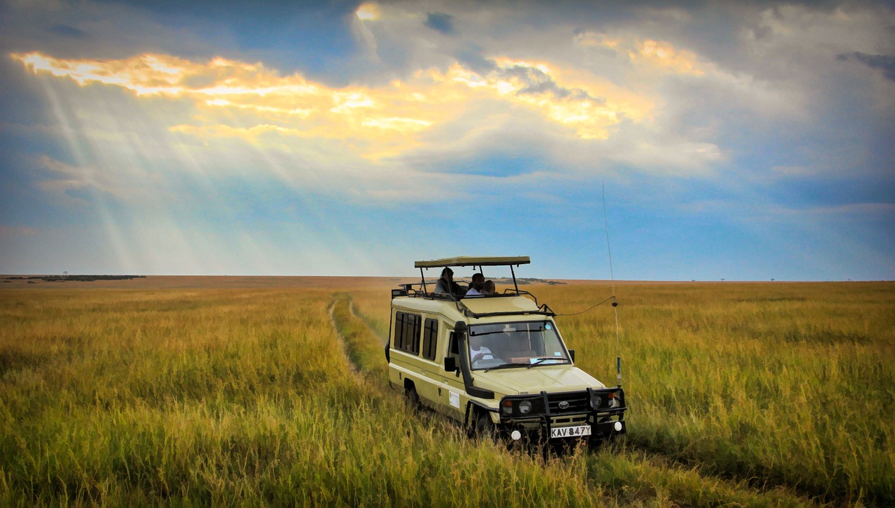 Off-Road Safari Adventure in Private Vehicles