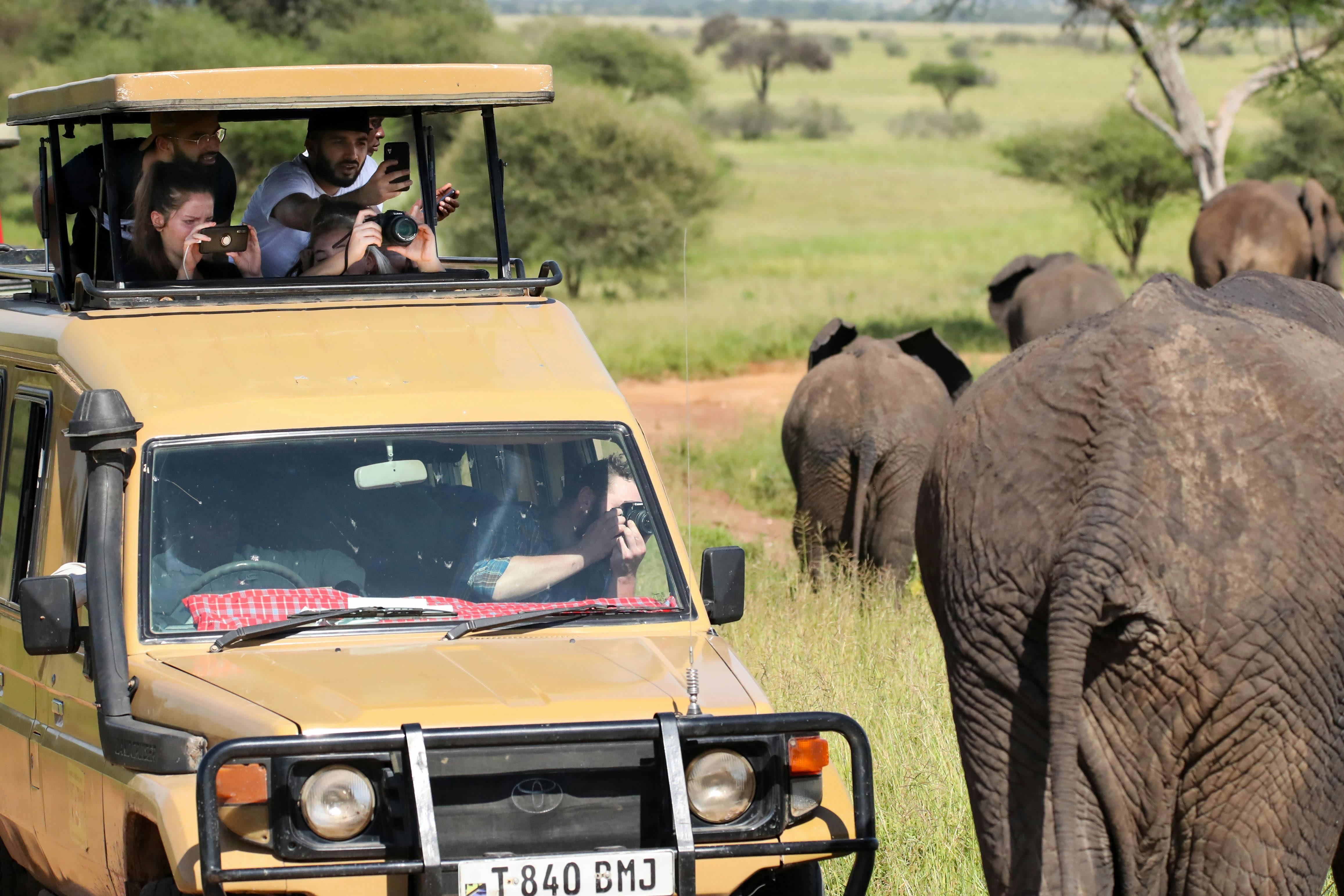 What is the Best Way to Experience a Tanzania Photo Safari?