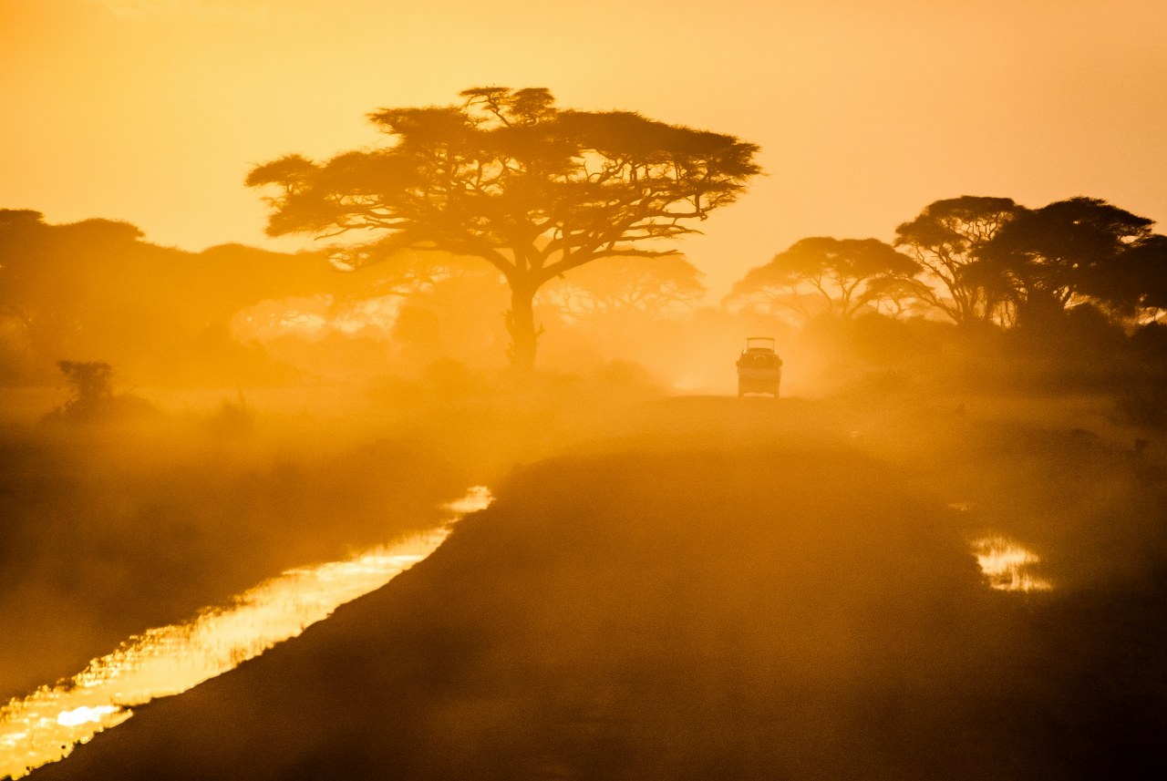 Avoiding the Crowds: The Worst Time to Visit Tanzania