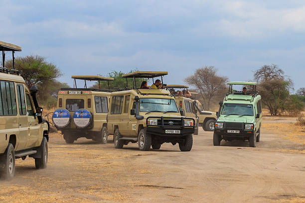 How much should I tip my safari guide or driver?  2026