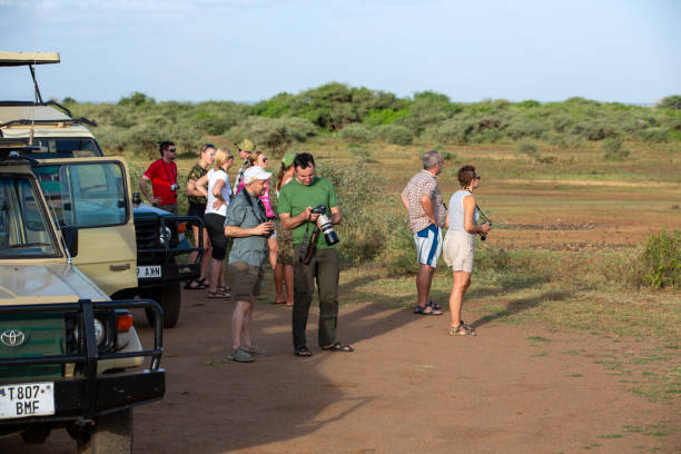 What food is available on safari?  2026