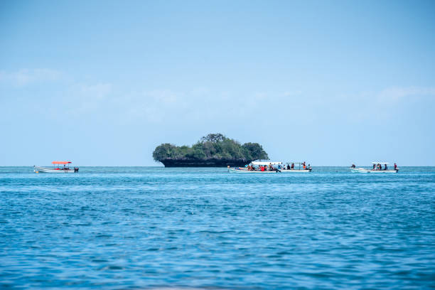 Zanzibar Budget Safari Tours  2026