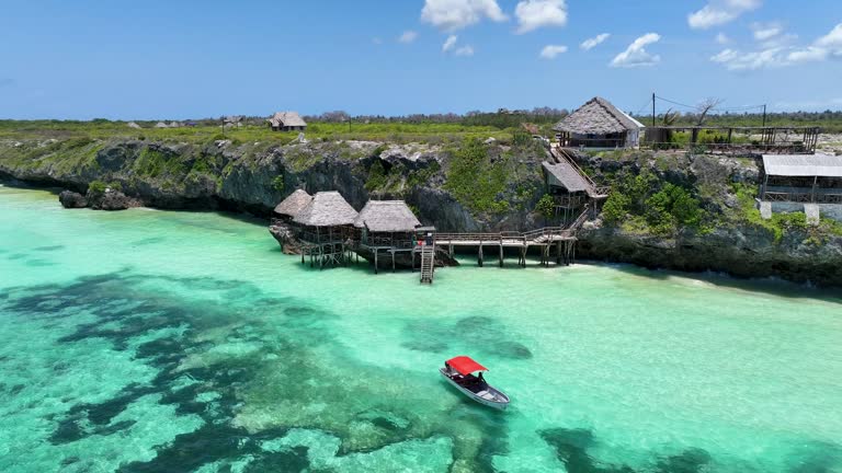 Zanzibar Eco-Friendly Tourism Packages  2026