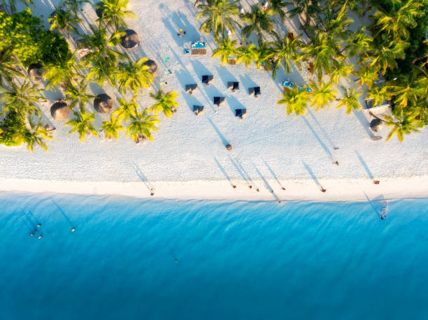 Zanzibar Travel Guide Itinerary 2 Days  2026