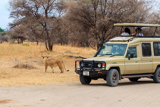 Ajira, Tanzania Jobs – Vacancies in Tourism (Climb 4 Africa)  2026