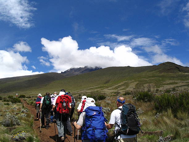 Best Kilimanjaro 1–5 Day Tours – Short Trek  2026